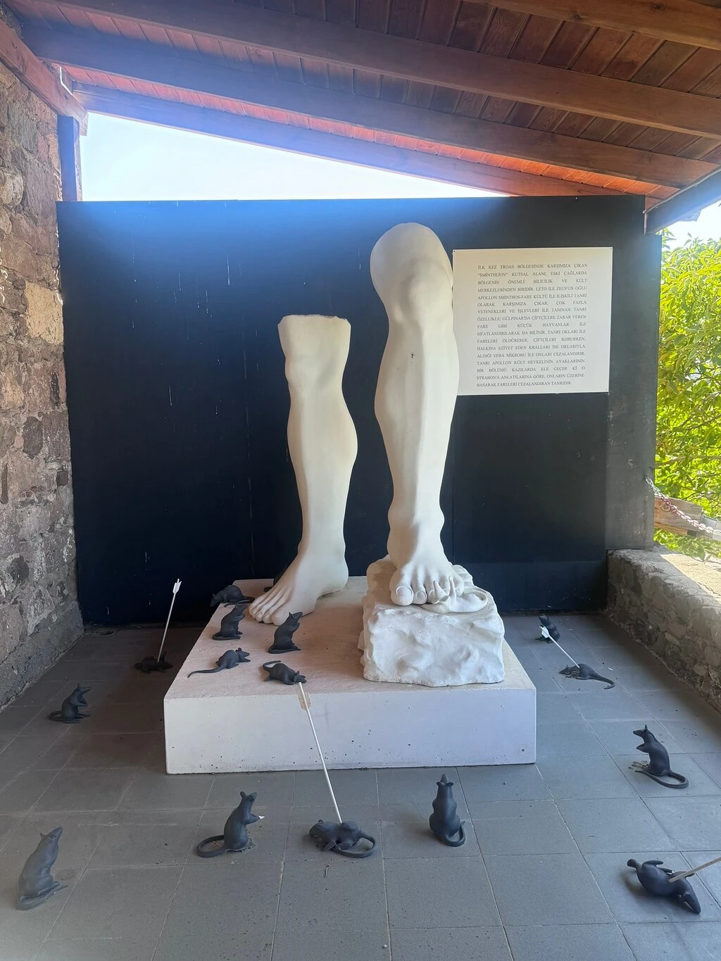 Apollon Smintheion — fotoğraf 3
