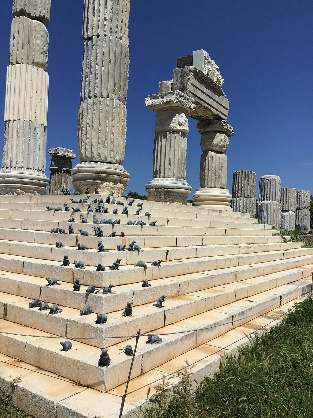 Apollon Smintheion — fotoğraf 5