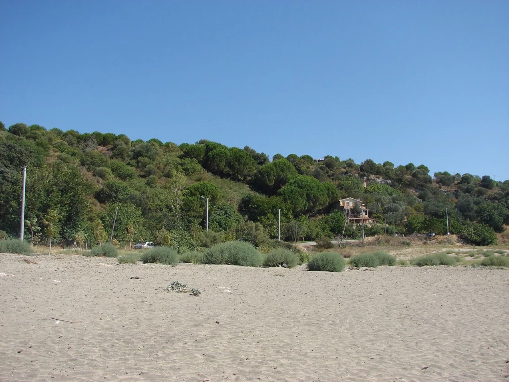 Agora Plajı (Ezine) — fotoğraf 2