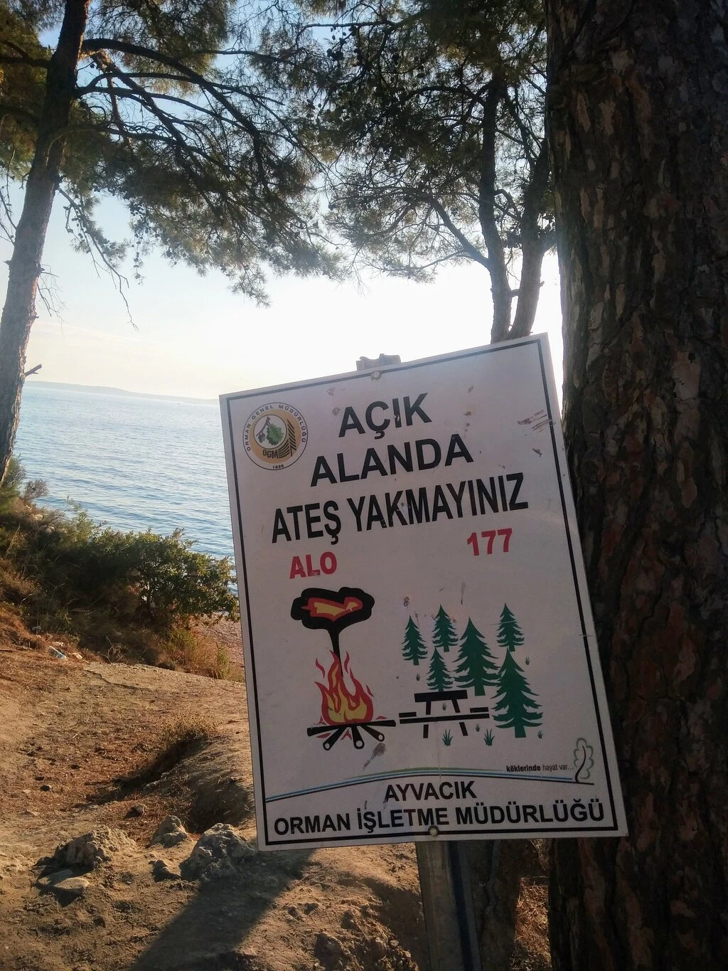 Taşkapı Sahili — fotoğraf 2