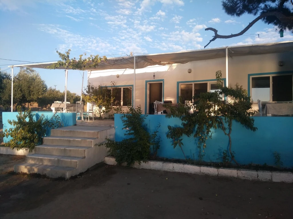 Taşkapı Sahili — fotoğraf 3