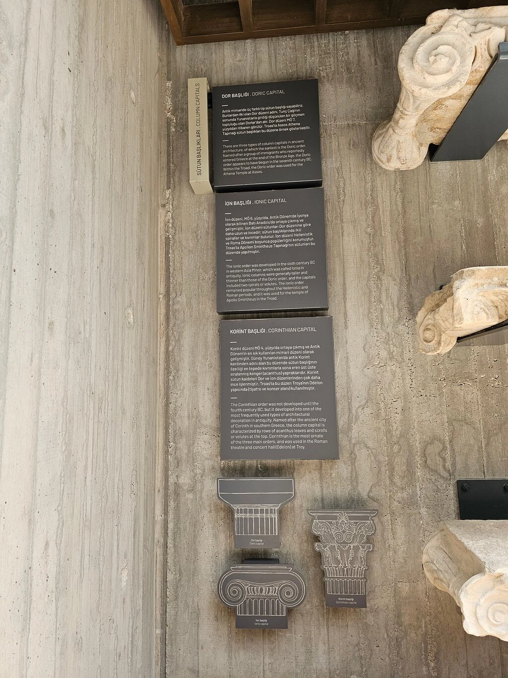 Troya Müzesi — fotoğraf 3