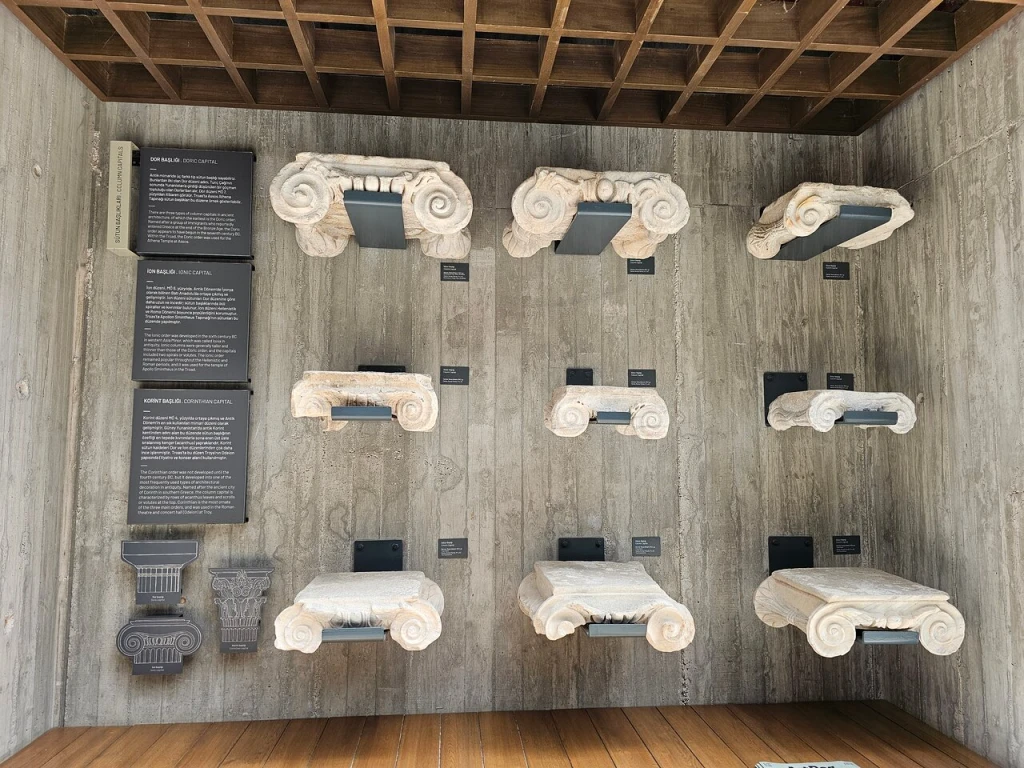 Troya Müzesi — fotoğraf 4