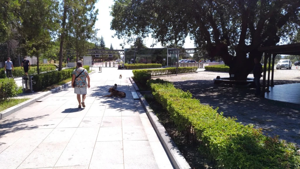 Truva Tarihî Millî Parkı — fotoğraf 2