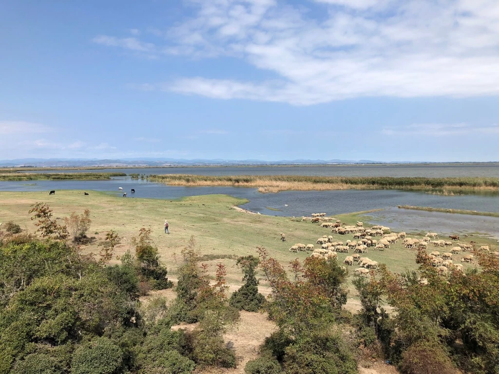 Gala Gölü Millî Parkı — fotoğraf 2