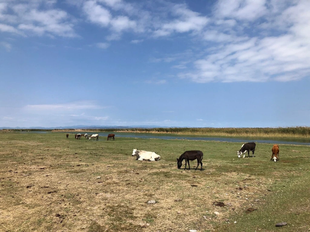 Gala Gölü Millî Parkı — fotoğraf 3