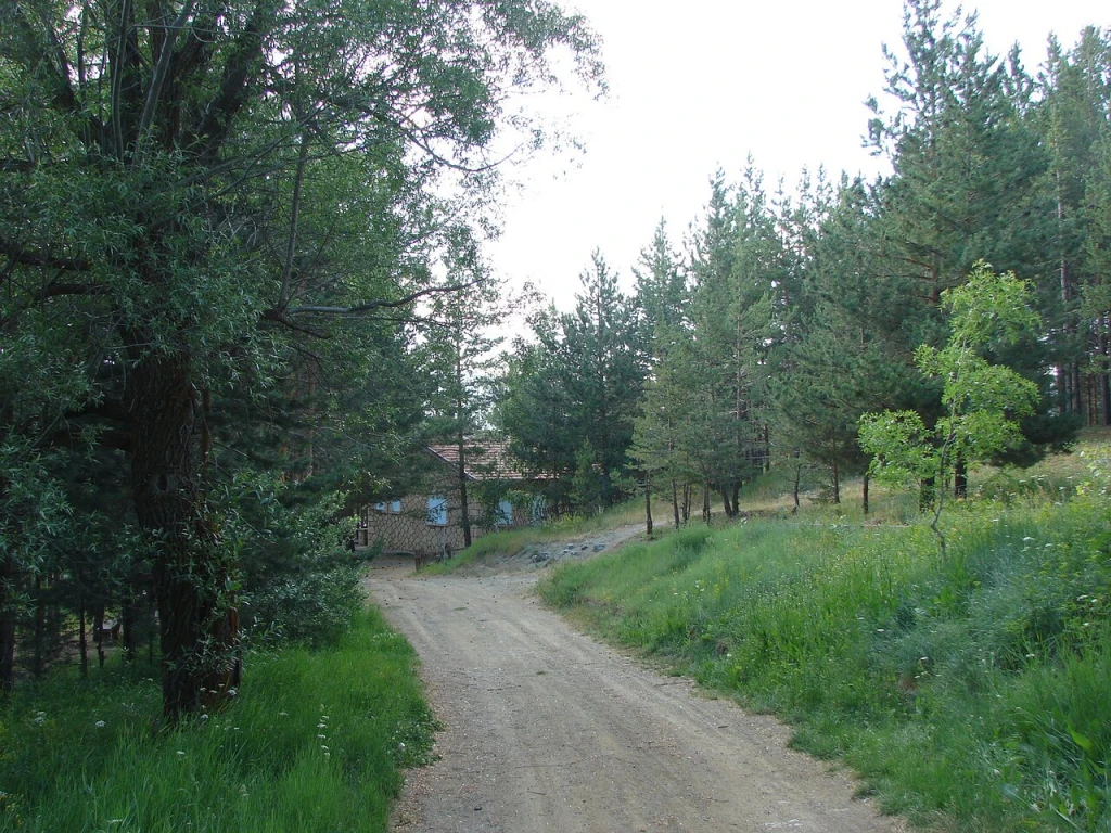 Mecidiye Plajı — fotoğraf 3
