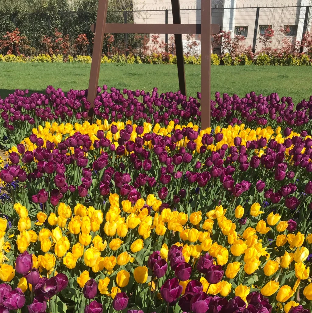 Büyükçekmece Halk Plajı — fotoğraf 2