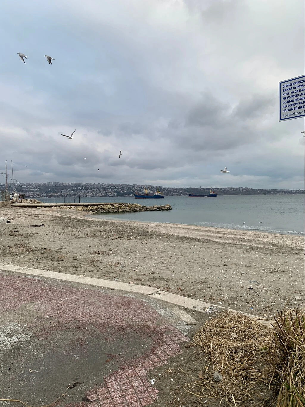 Mimarsinan Sahili — fotoğraf 3