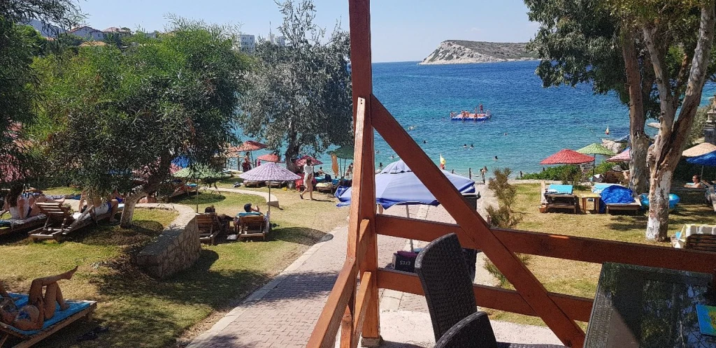 Akvaryum — fotoğraf 3
