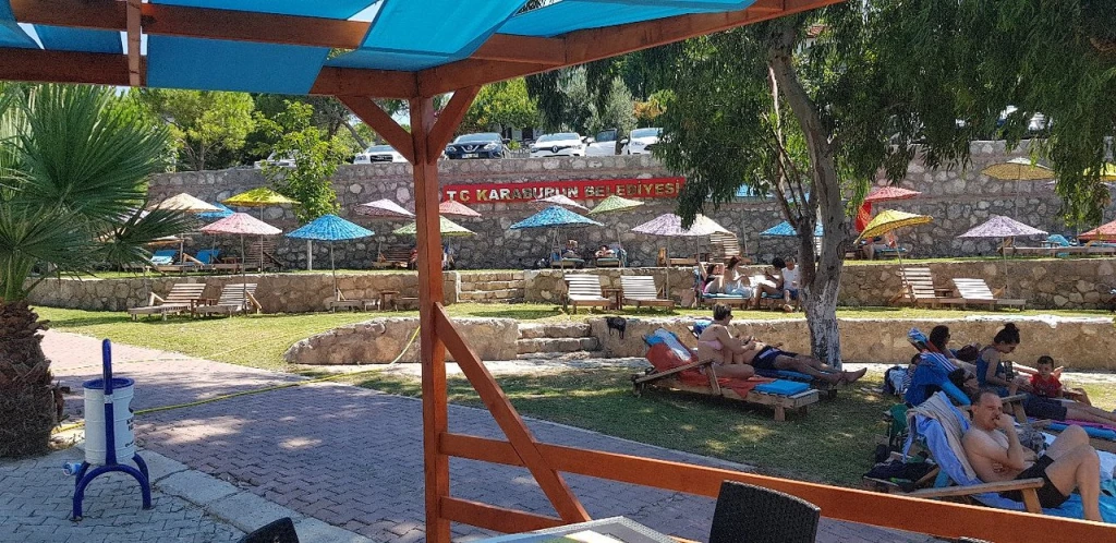 Akvaryum — fotoğraf 5