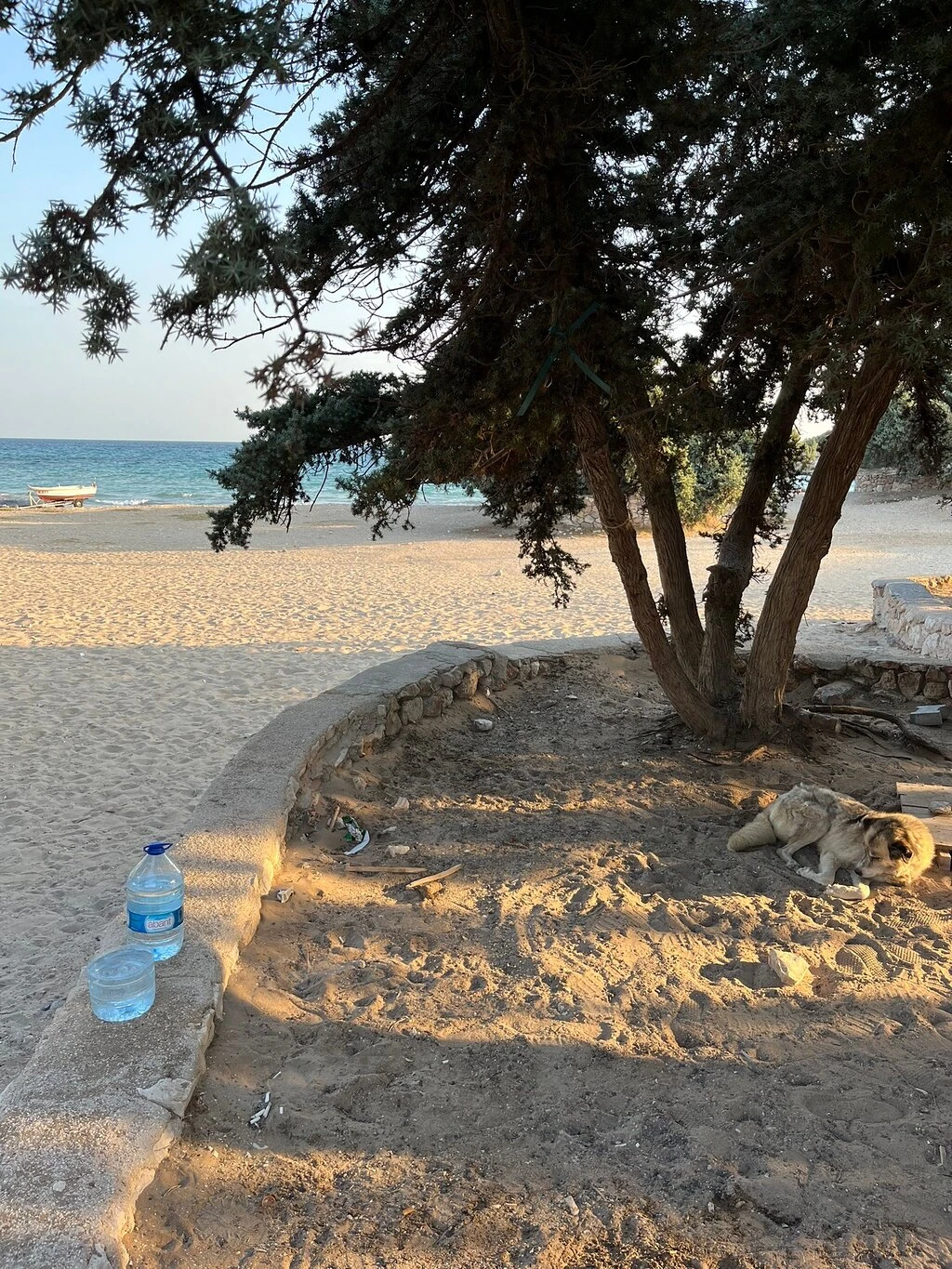 Ardıç Plajı — fotoğraf 3