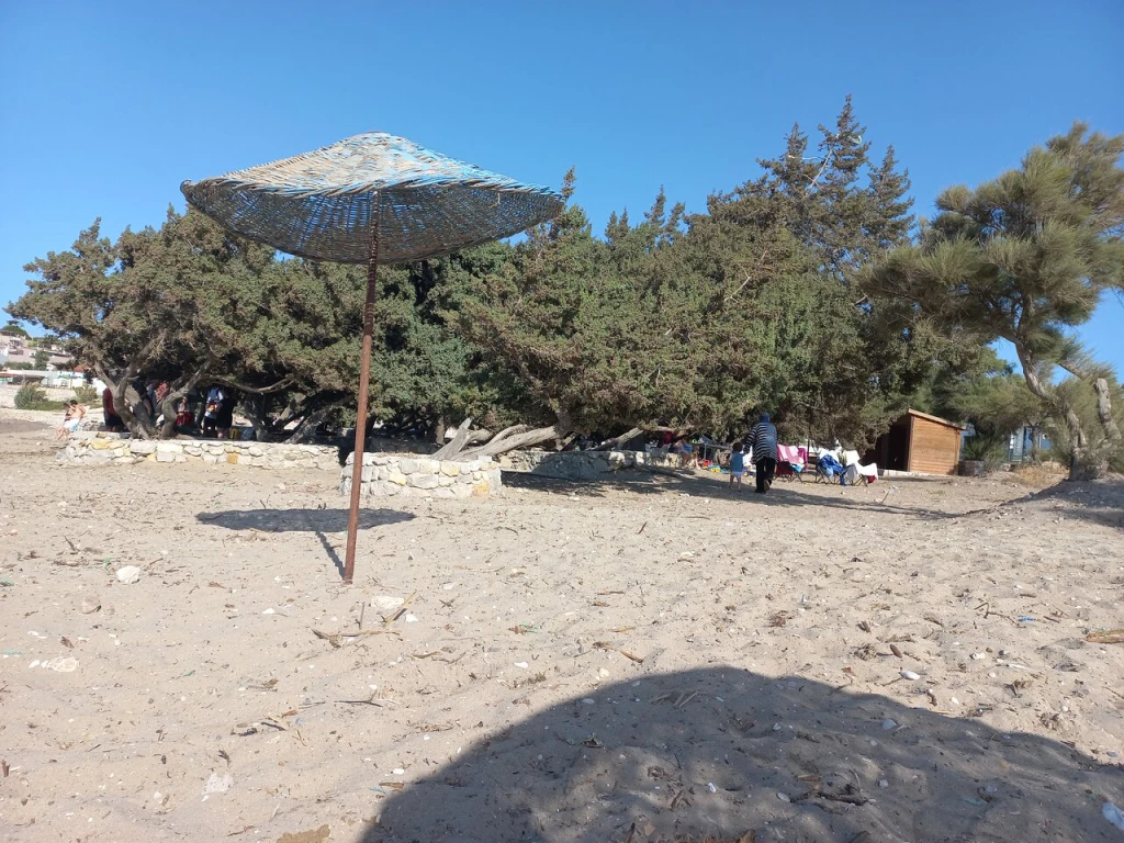 Ardıç Plajı — fotoğraf 4