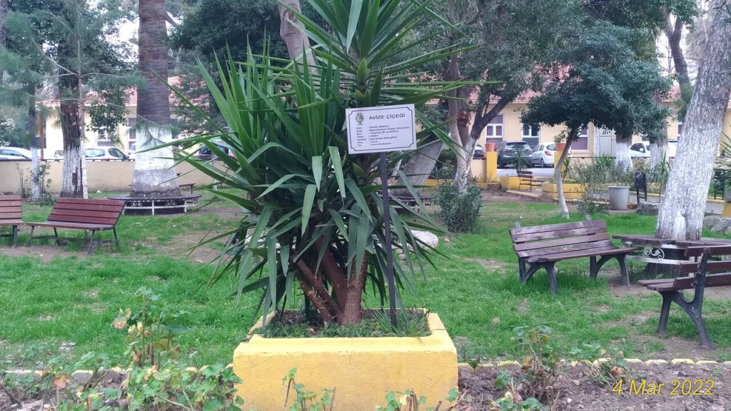 Aziz Yuhanna Bazilikası — fotoğraf 3