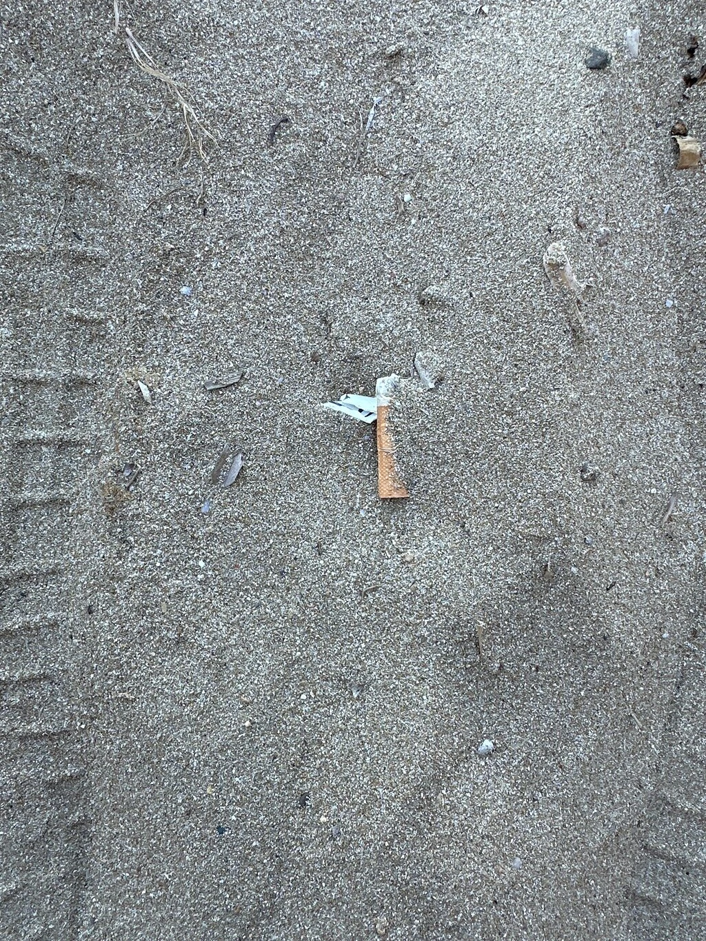 Ekmeksiz Plajı — fotoğraf 2