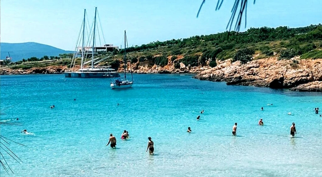 Ekmeksiz Plajı Tabiat Parkı — fotoğraf 5