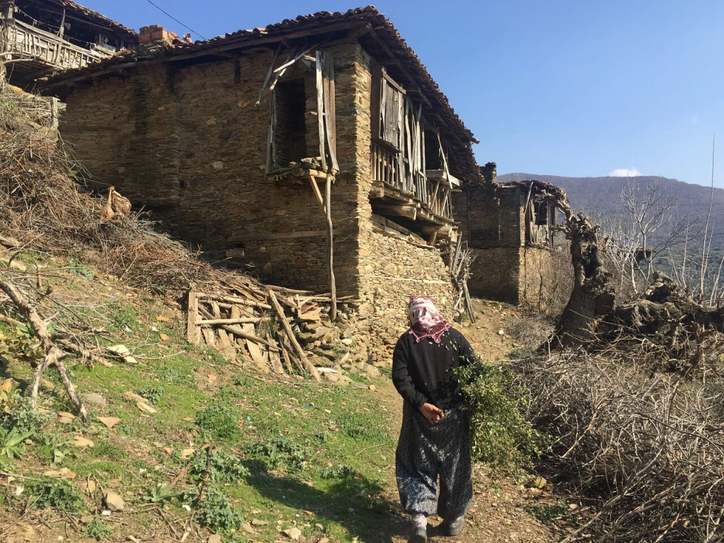 Eyko plaj — fotoğraf 2