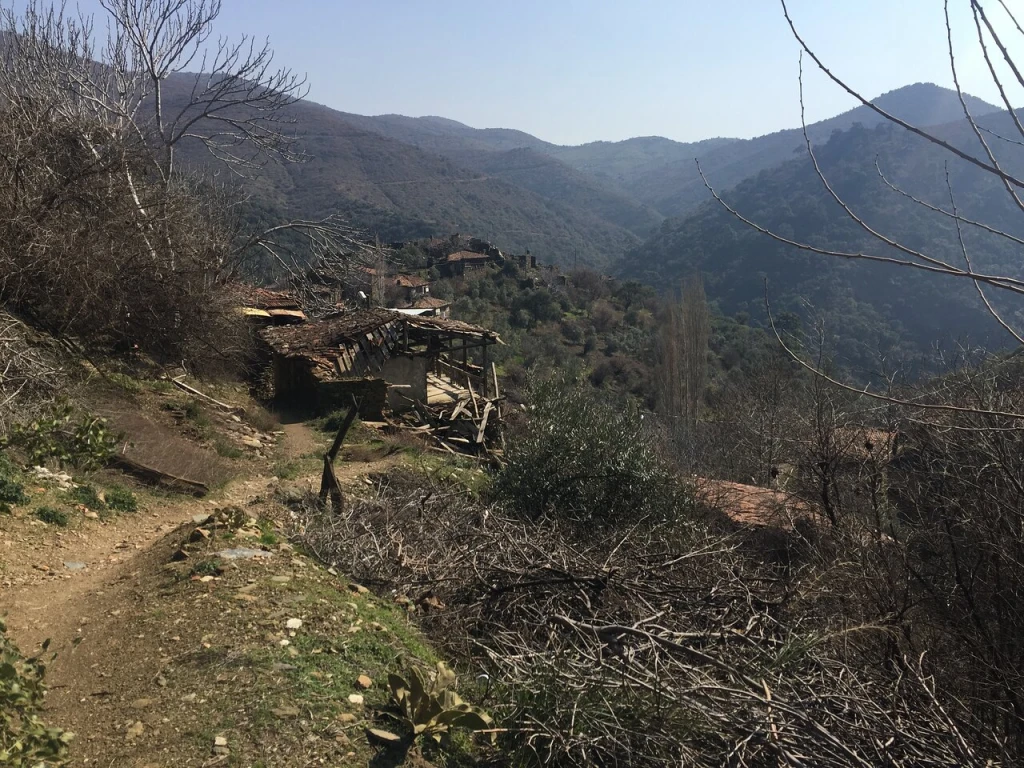 Eyko plaj — fotoğraf 3