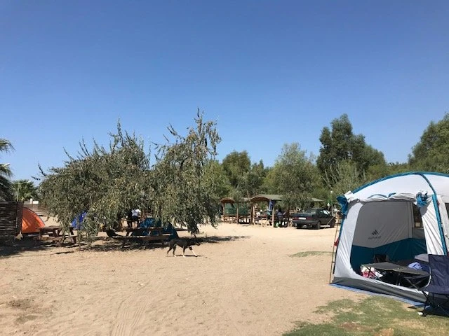 Gümüldür Tabiat Parkı — fotoğraf 2