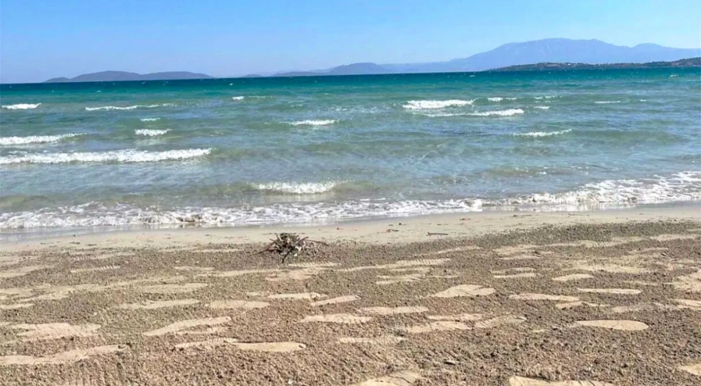 Ilıca Plajı — fotoğraf 2