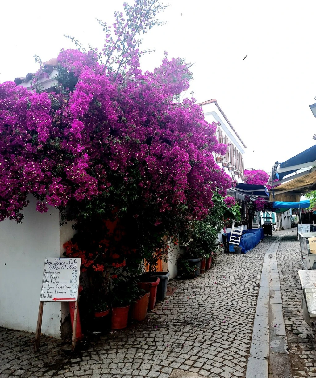 Sığacık Kalesi — fotoğraf 2
