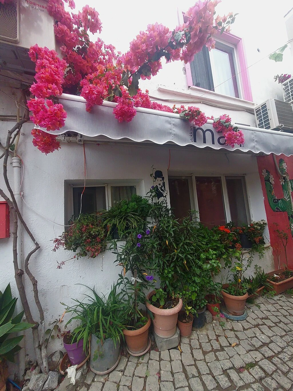 Sığacık Kalesi — fotoğraf 5