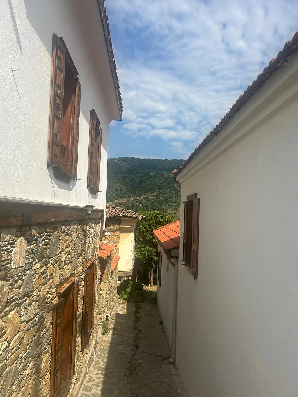 Taş Mektep Müzesi — ana fotoğraf