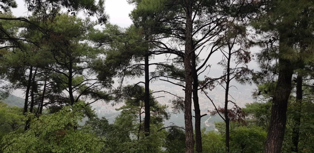 Teleferik — fotoğraf 4
