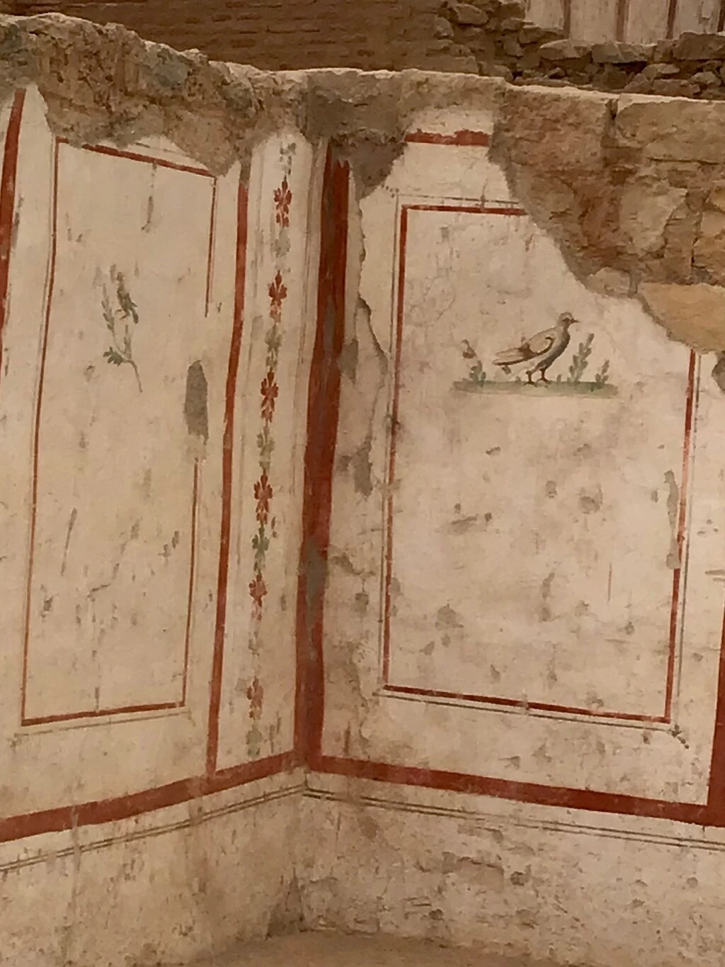 Yamaç Ev 2 — fotoğraf 4