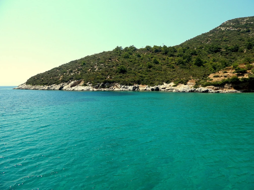 Zeytin Plajı — fotoğraf 5