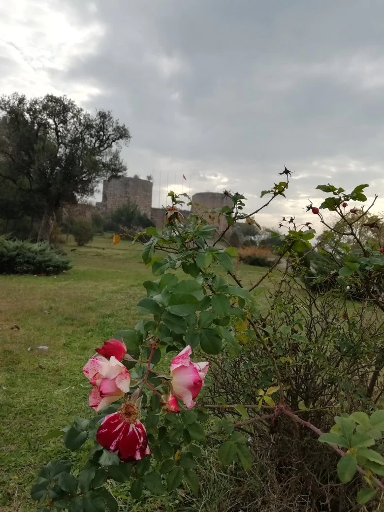 Eskihisar Kalesi — fotoğraf 5