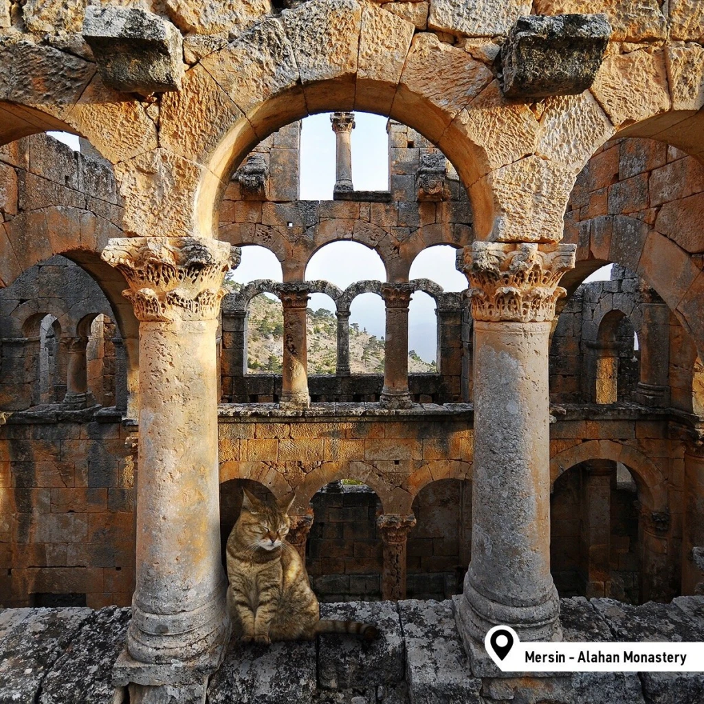 Alahan Manastırı — fotoğraf 5