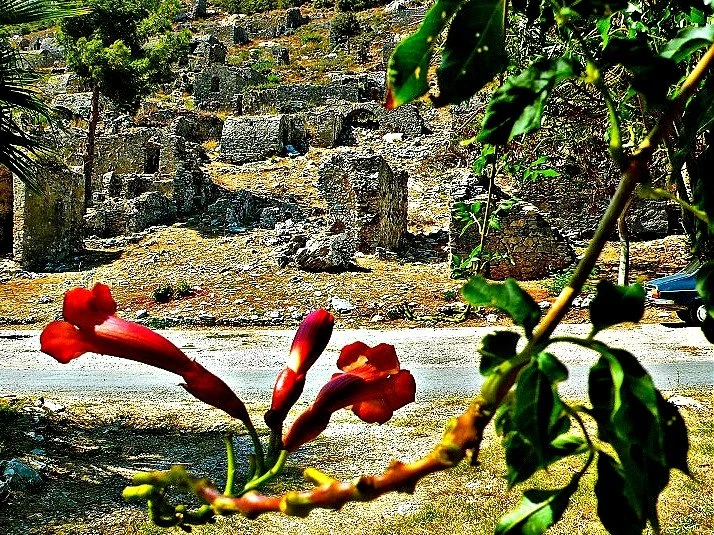 Anemurium Büyük Hamam — fotoğraf 2