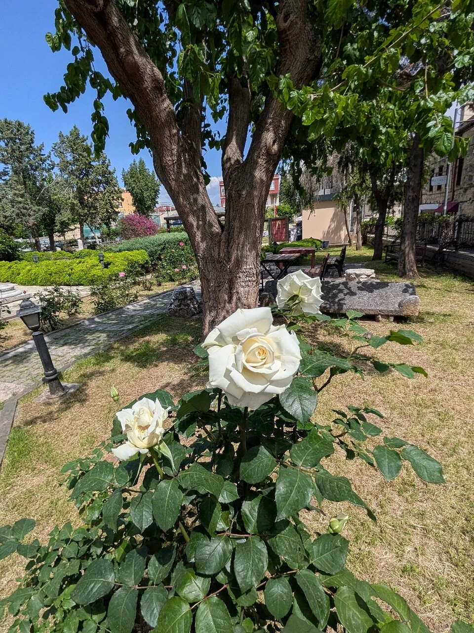 St. Paul Kuyusu — fotoğraf 2