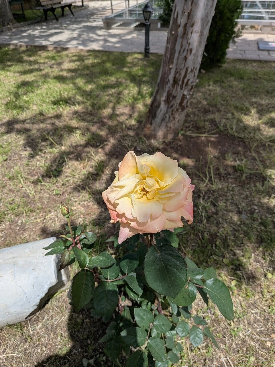 St. Paul Kuyusu — fotoğraf 4