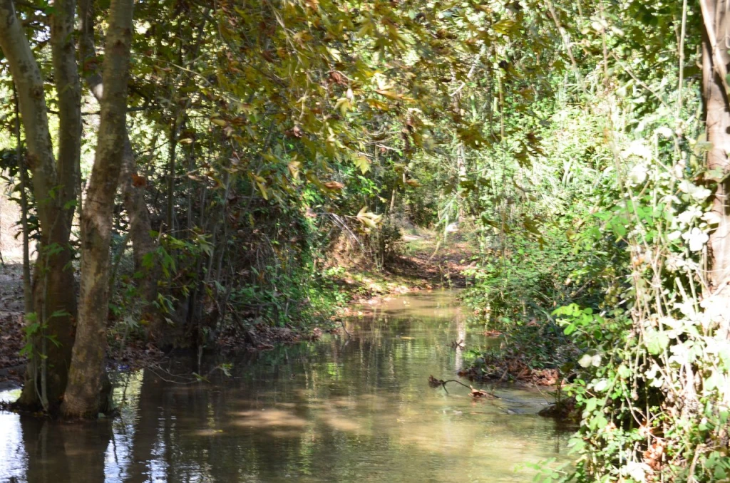 Tarsus Şelalesi — fotoğraf 4