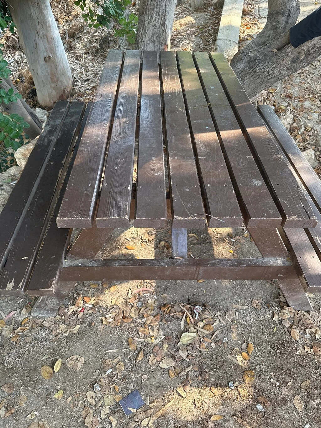 Yapraklı Koyu — fotoğraf 2