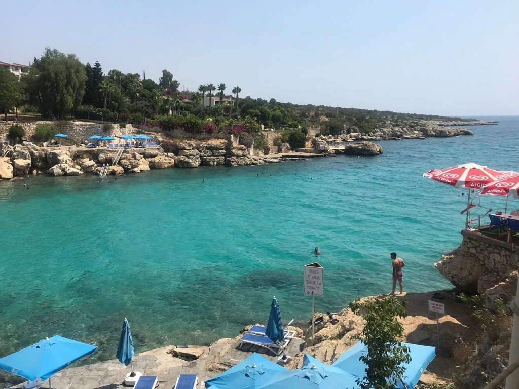 Yapraklı Koyu — fotoğraf 3