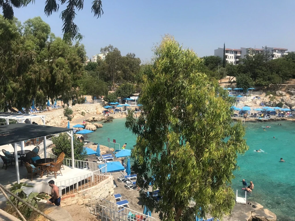 Yapraklı Koyu — fotoğraf 4