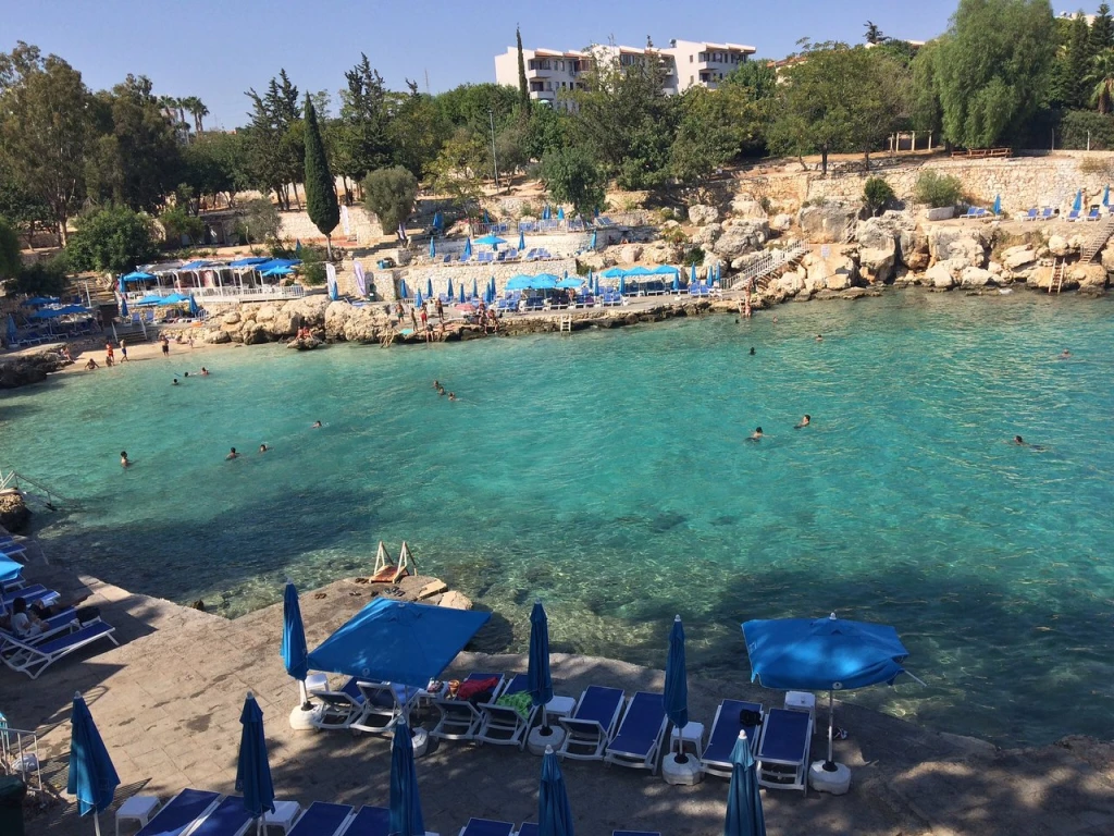 Yapraklı Koyu — fotoğraf 5