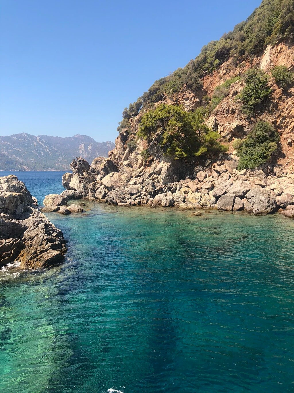 Akvaryum Koyu — fotoğraf 4
