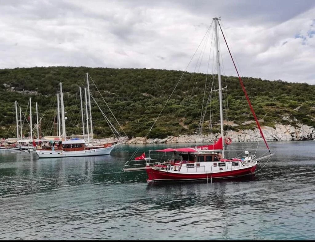 Akvaryum Koyu — fotoğraf 5
