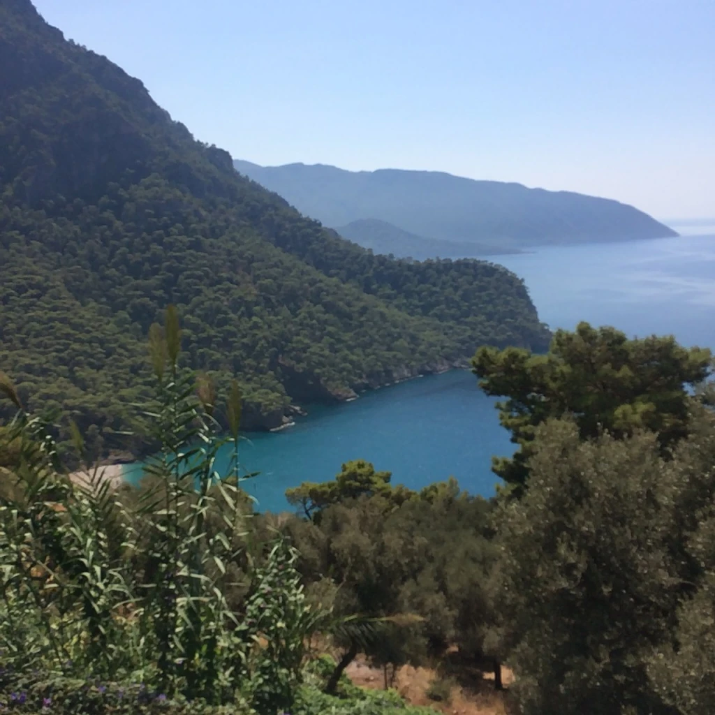 Kabak Koyu — fotoğraf 5