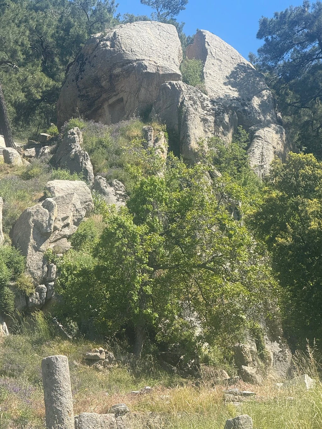 Labranda — fotoğraf 2