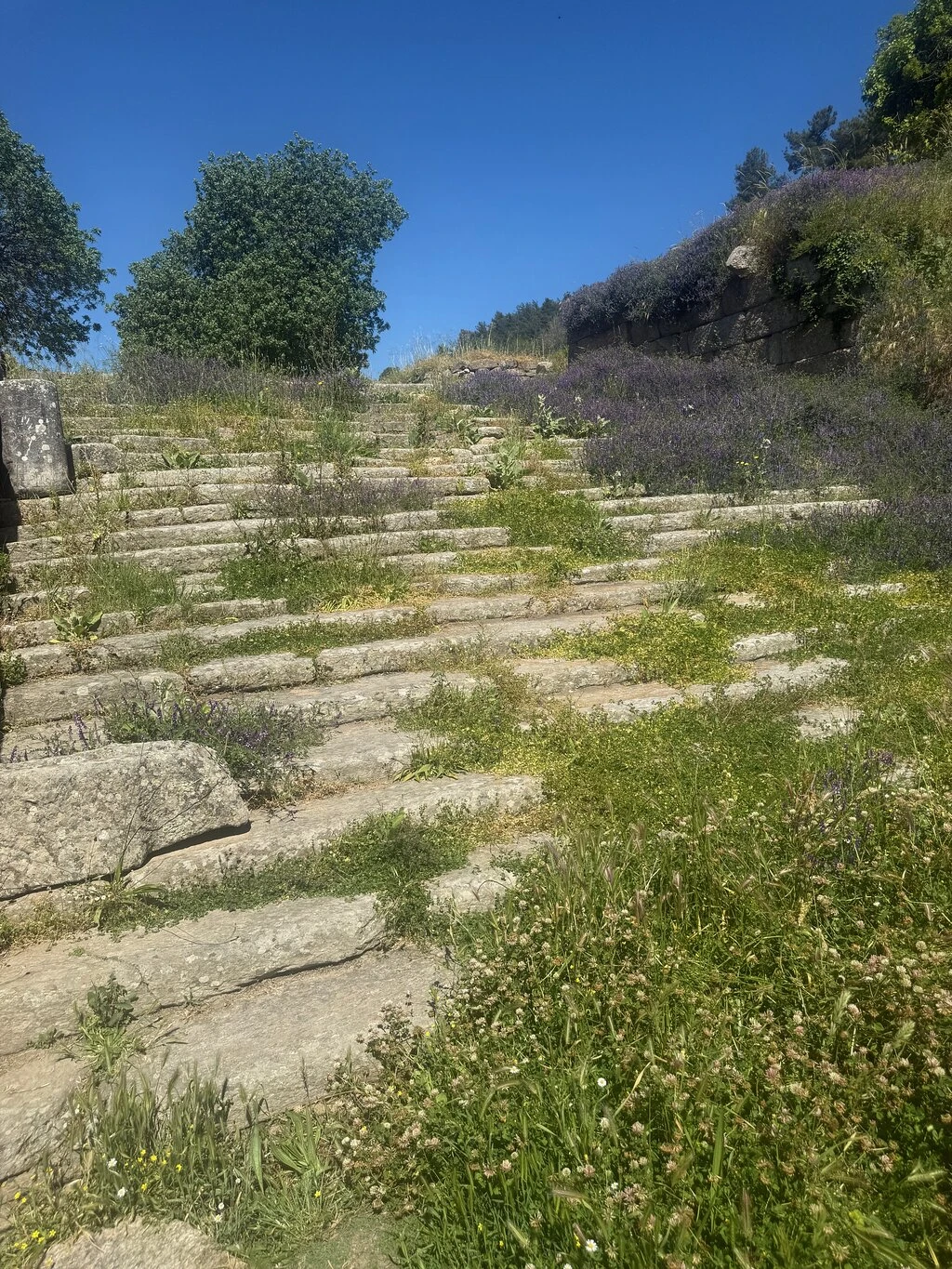Labranda — fotoğraf 3