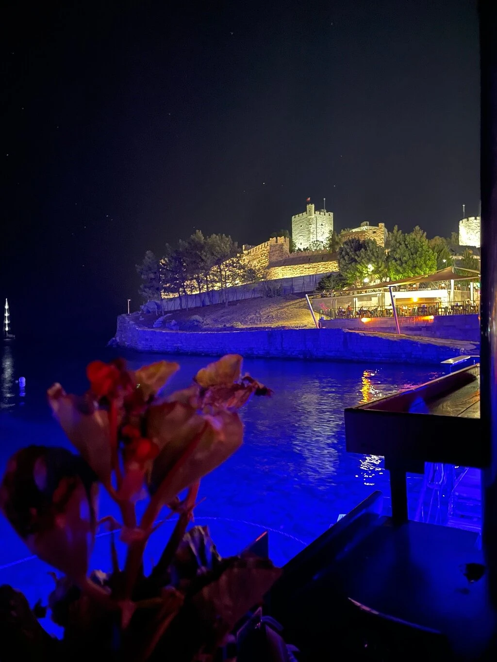 Mandalin Bodrum — fotoğraf 3