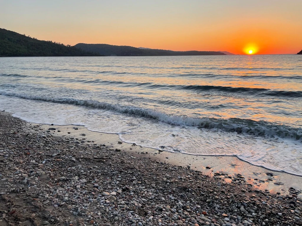 Ovabükü — fotoğraf 2