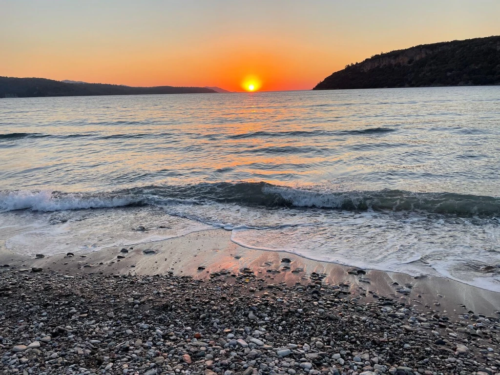 Ovabükü — fotoğraf 3