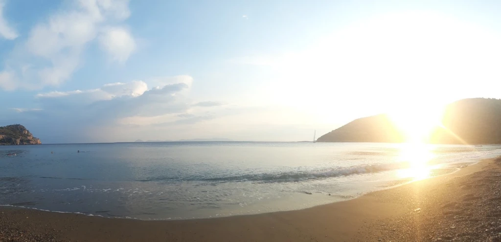 Ovabükü — fotoğraf 4