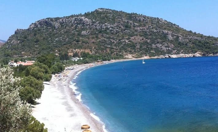 Ovabükü — fotoğraf 5
